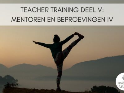 Teacher Training V