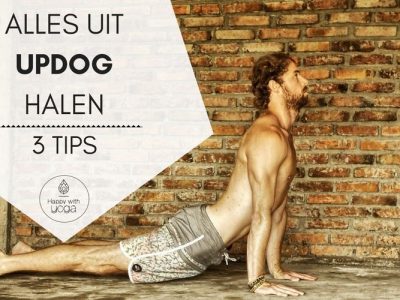 updog