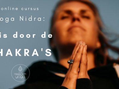 online chakra cursus - reis door de chakra's